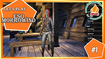 Elder Scrolls Online: MORROWIND - CREATING A WARDEN | NEW TUTORIAL QUEST (#1)