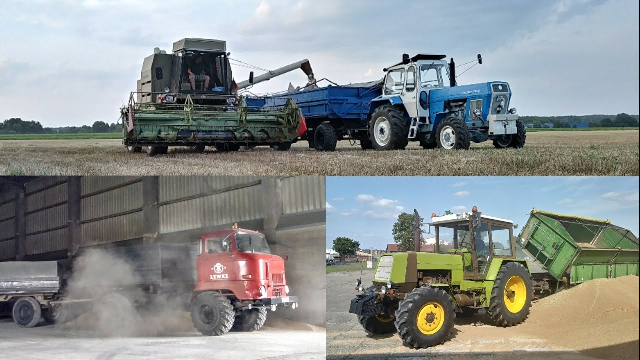 Abfahrer in der Getreideernte mit IFA, Fortschritt und Zetor