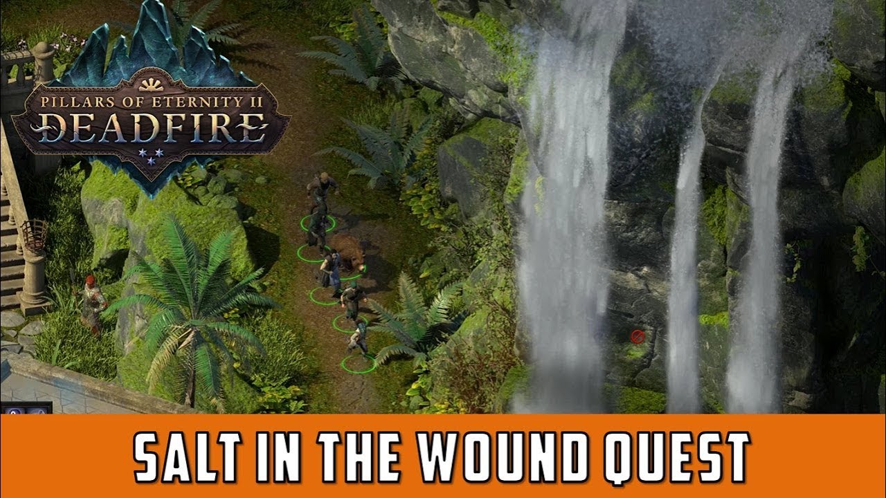 Salt in the wound Quest (Pillars of eternity 2 Deadfire)