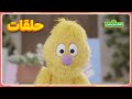 أهلا سمسم الموسم الخامس الحلقة 5 معرض كتب أهلا سمسم