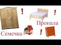 Семечка пропала. Джунгарский хомячок.