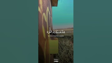 وأوحى ربك إلى النحل بصوت القارئ خالد الحليل #القرآن_الكريم
