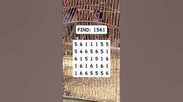 Observation Visual Test: 5 Seconds For You To Spot 1561. Try Your Skills!  #search #puzzle #shorts