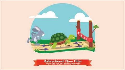 Bidirectional Flow Filter - 1 min summary