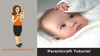 Maternity Hospitals - Parentcraft Tutorial for Website screenshot 2