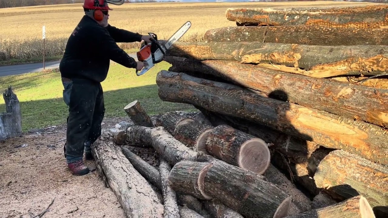 Stihl 462 vs Rip Saw 462 vs Rip Saw 500i. 