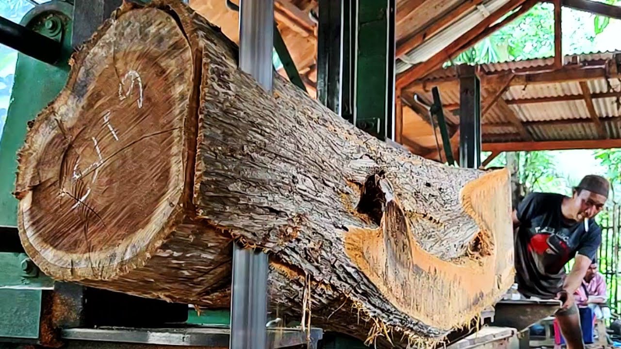 the dangerous process of sawing old curved teak logs in a sawmill - YouTube