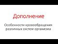 Дополнение. Особенности кровообращения различных систем организма