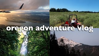 OREGON ADVENTURE VLOG! durant farms, whale watching, waterfalls, hiking and more!