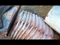 Fastest King Fish Cutting | Perfect Seer Fish Slicing | AM Fish House