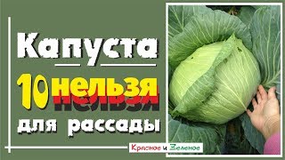 видео: 10 НЕЛЬЗЯ для рассады КАПУСТЫ картинка: 10 НЕЛЬЗЯ для рассады КАПУСТЫ