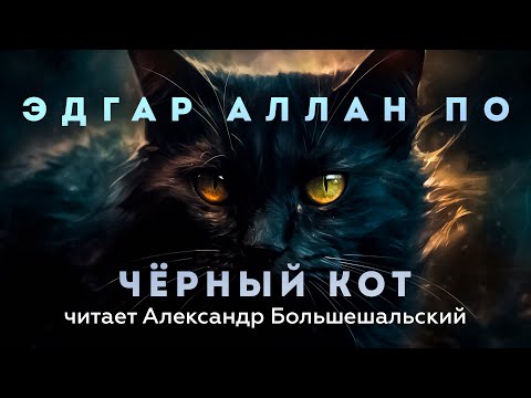 Эдгар Аллан По - Чёрный кот | Аудиокнига (Рассказ) | Читает Большешальский