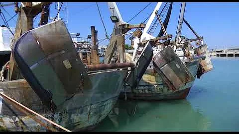 Quando inizia il fermo pesca nell'adriatico?