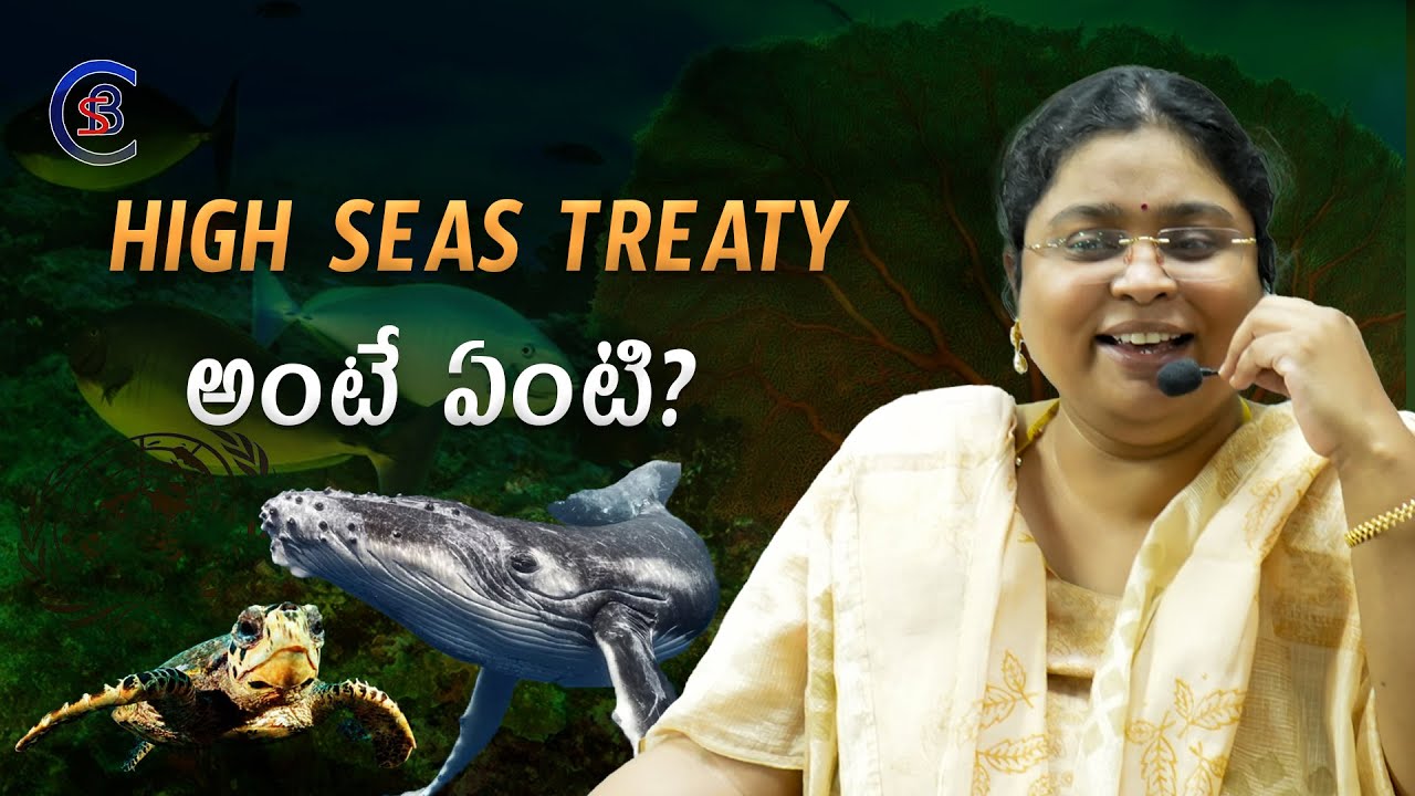 HIGH SEAS TREATY అంటే ఏంటి? 
