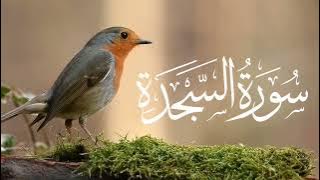 📖 Surah Sajdah | Quran Majeed