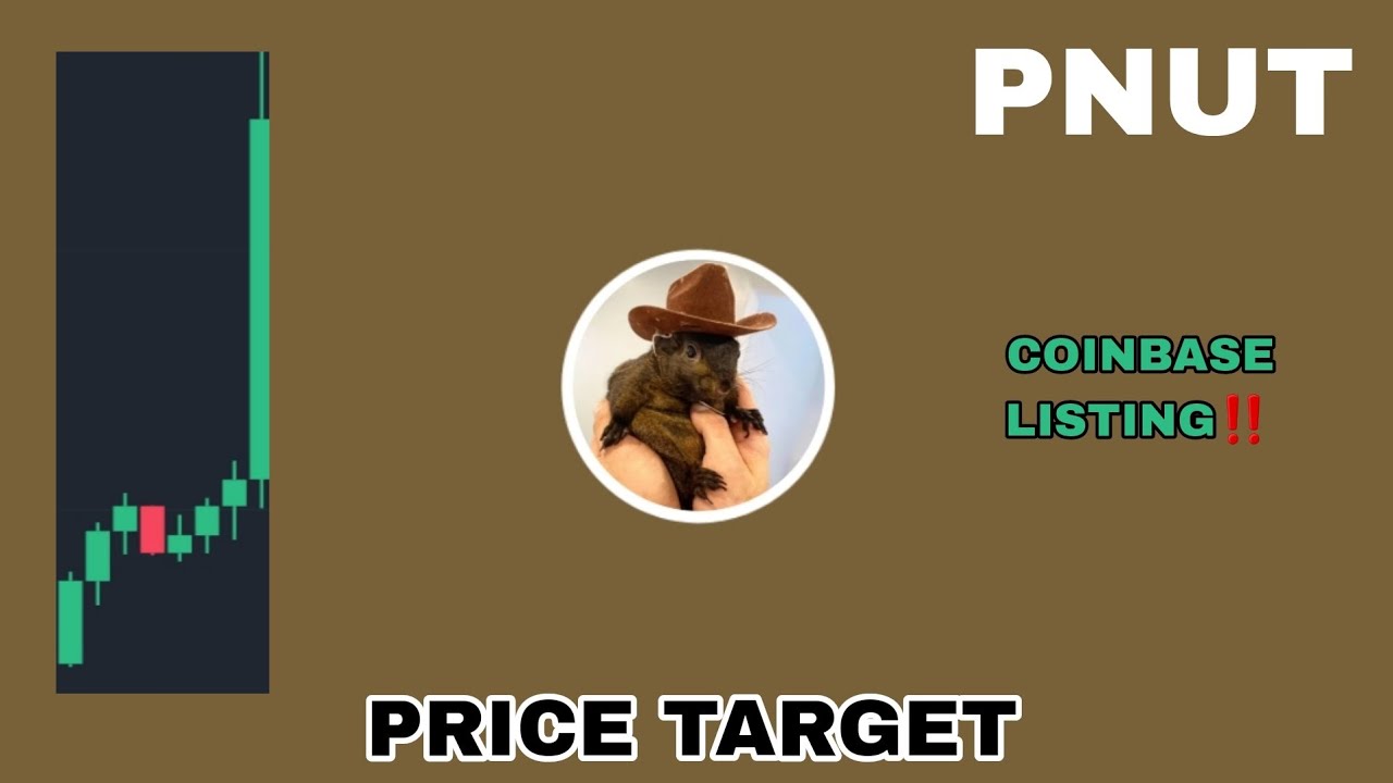 PNUT COIN HUGE PUMP IN DECEMBER 2024 PEANUT THE SQUIRREL PRICE TARGET ...