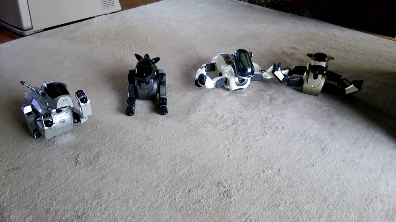 AIBO 4匹同時に起動しました。