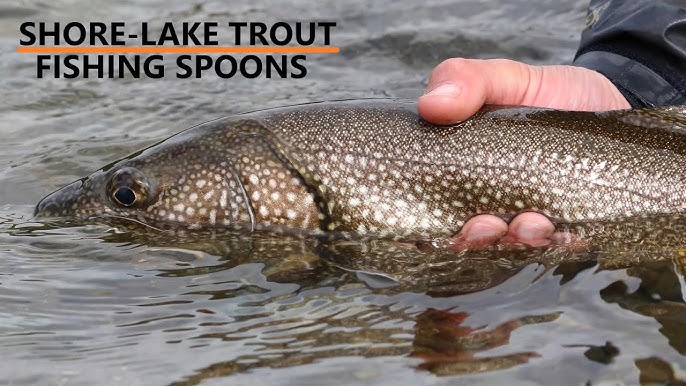 How to CATCH BIG Brown Trout on Jerkbaits 