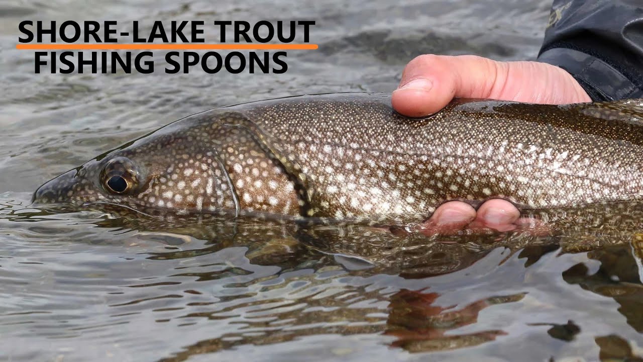 Locating and Catching Lake Trout from SHORE with SPOONS 