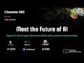 Meet the Future of AI: Support for the European Democracy Shield: policy, practice and partnerships
