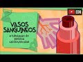 Quiz sobre Vasos Sanguíneos