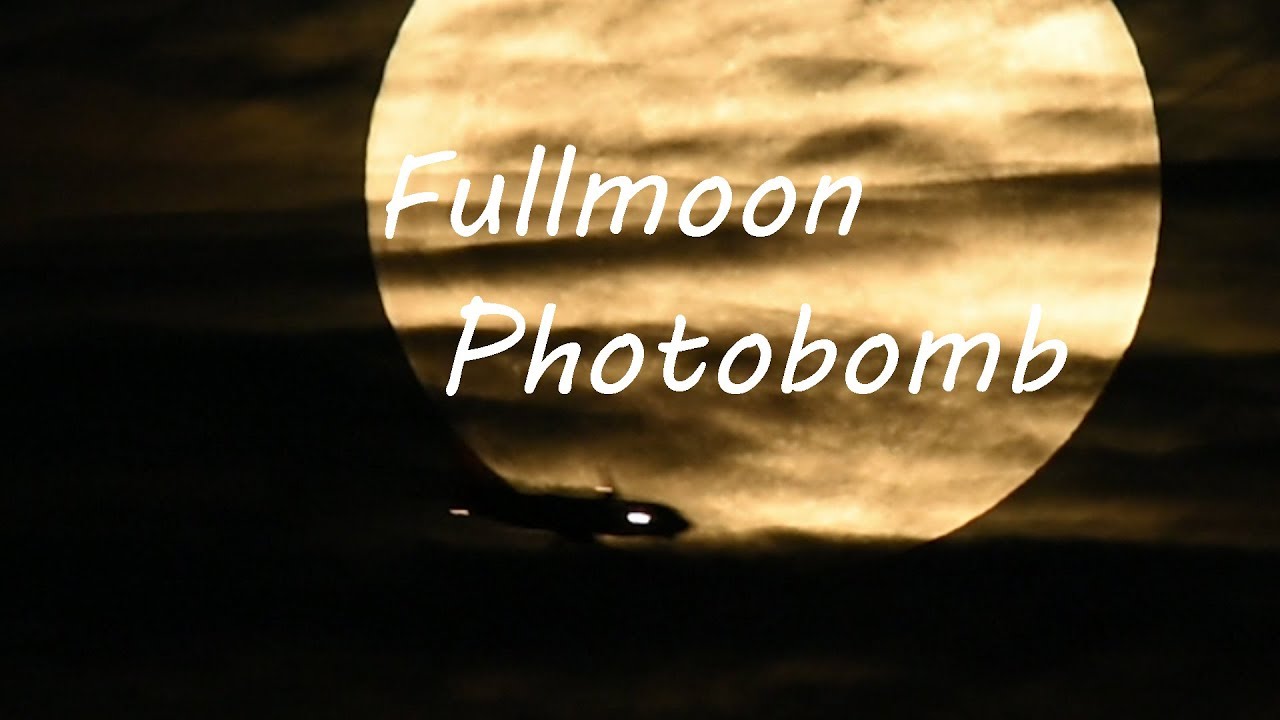 Fullmoon Photobomb