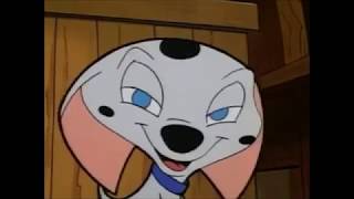 Cadpig - Dreams To Dream.