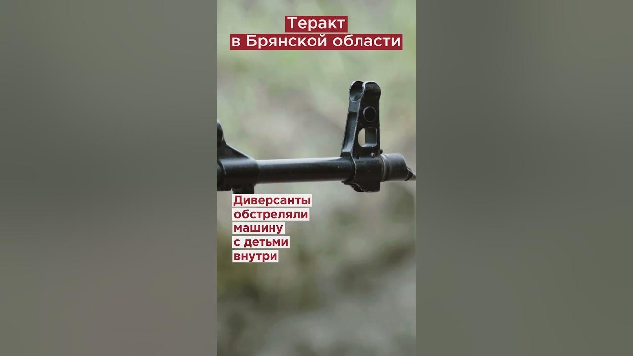 Что известно о террористах в брянской области