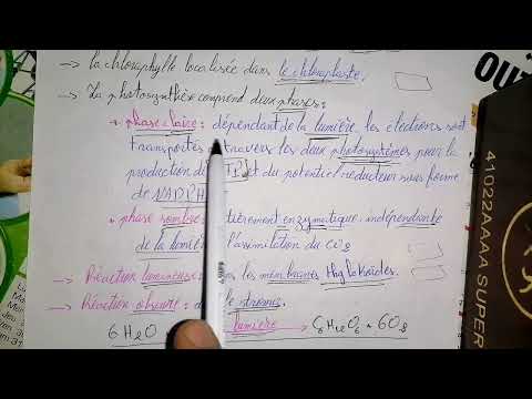 2 دروس النشاط العلمي باللغة الفرنسية La Photosynthèse L écologie Le Sol