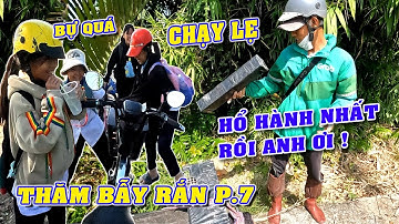 Thăm bẫy rắn dính rắn hổ ngựa to và rắn hổ hành khủng ai cũng giật mình P.7/NGÃ NĂM TV