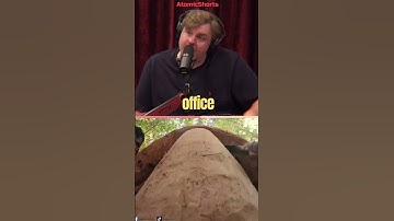 Joe Rogan & Tim Dillon