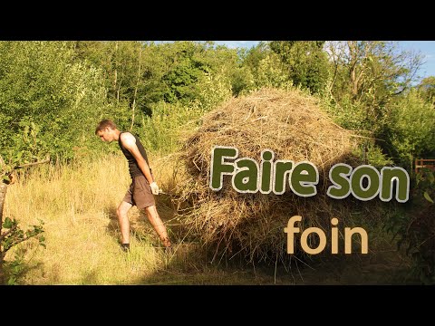 Vidéo: Les meules de foin doivent-elles être réfrigérées ?