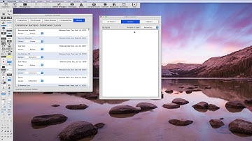 The Bakers Assistant LiveCode IDE Plugin