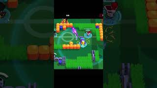 Should I Do A Comeback?