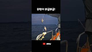 3연속 우럭 쌍걸이 낚시🎣 #shorts