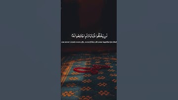 القارئ: بدر التركي