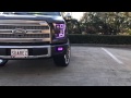 Custom headlights(2016 F-150)