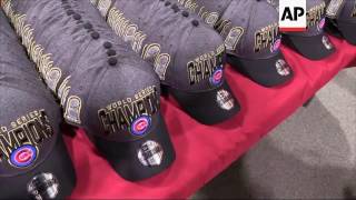 Cubs Fans Buying World Series Championship Gear