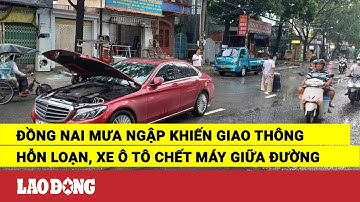 Đồng Nai mưa ngập khiến giao thông hỗn loạn, xe ô tô chết máy giữa đường | Báo Lao Động
