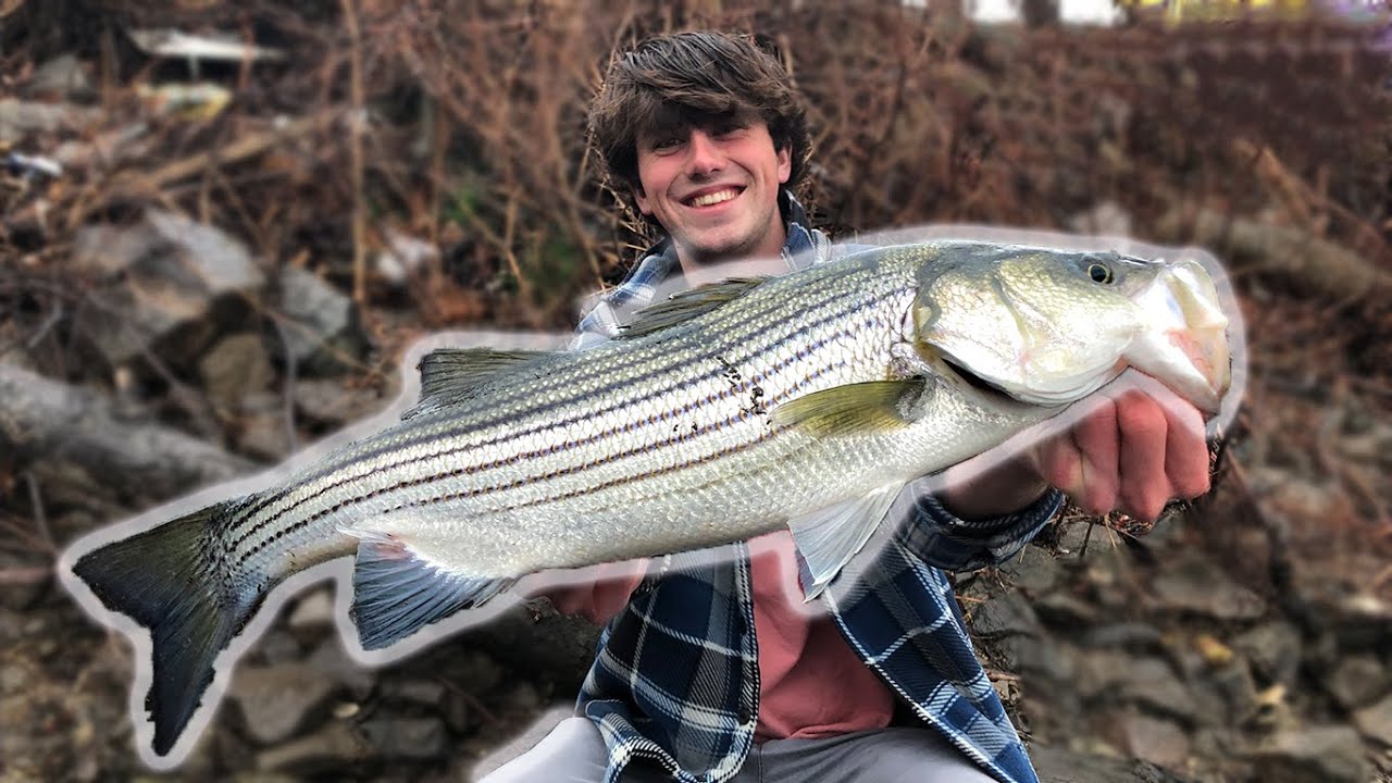 Striped Bass Fishing in the Raritan River, NJ Using Jake's SECRET Lure