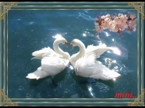 ariyathe-ishtamayi-..!!-(mini-anand)