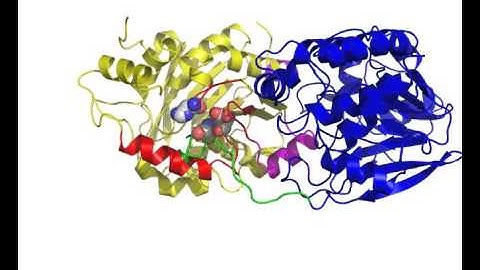 Activation of PP2A specific methylesterase