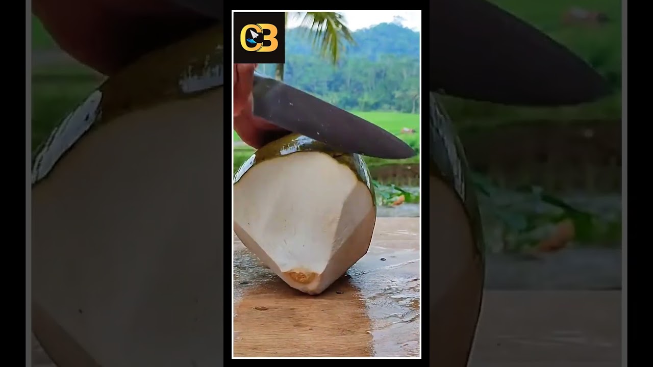 Very Agile in Cutting coconut by Creative B.D 