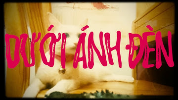 Dưới ánh đèn - Mèow Lạc
