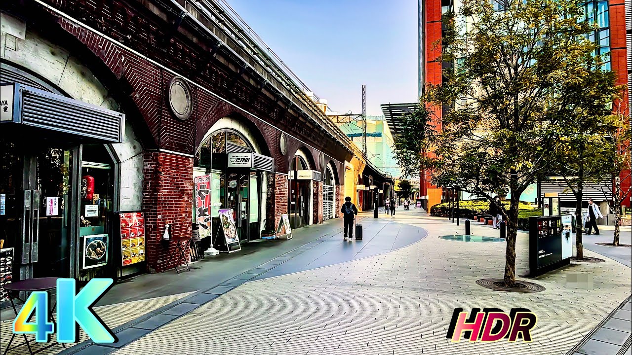Akihabara to Ueno: Early Spring Scenes in Tokyo 2025, a frame from the walk