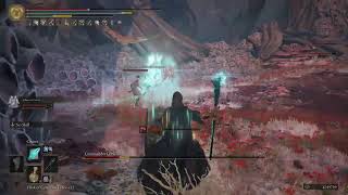#Elden Ring|Shawdo of The Erdtree NG+6
