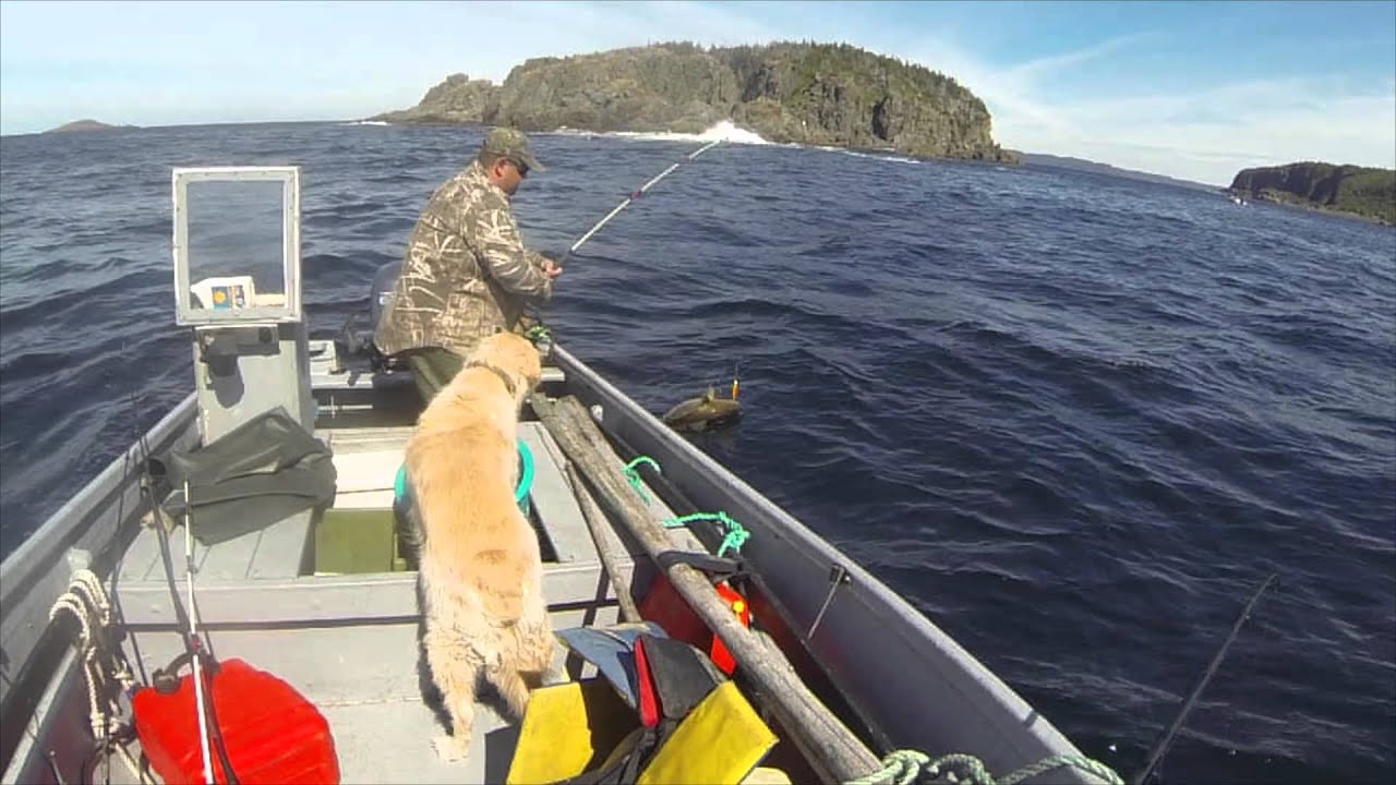 Cod Fishing Aug 9, 2015 - YouTube