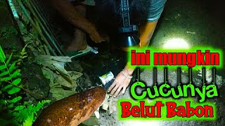 Disangka Belut kecil.!!! Ehh ternyata.... big Eel Fishing