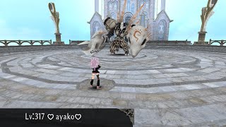 Bowgun Dagger Solo Gagardin (2) Adventure's Peak | Toram Online