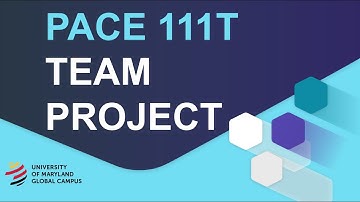 PACE 111T Team Project Introduction